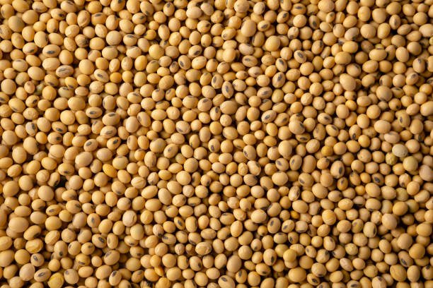 soybeanmeal top view image