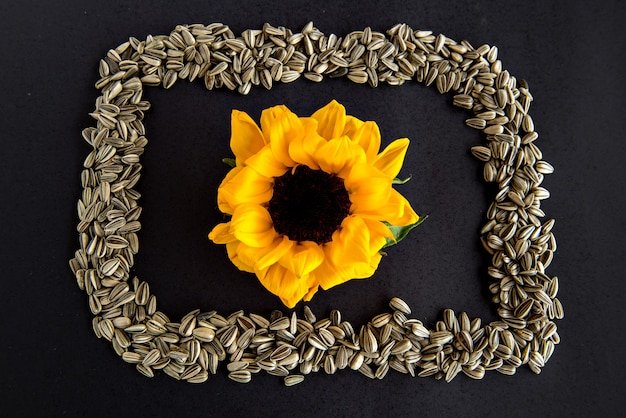 sunflower seeds from kireba store