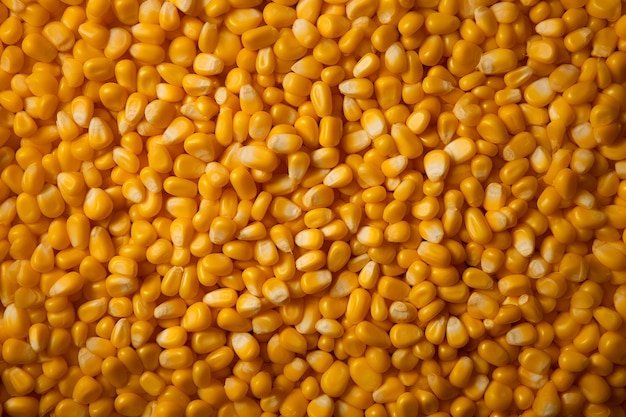 yellow corn top view image